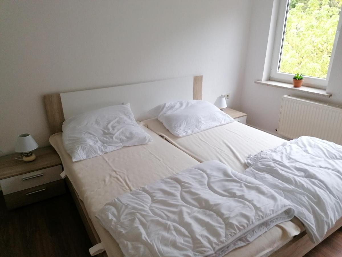 אלטנאו Ferienwohnungen Untermuehle, Rothenbergerstr. 12 מראה חיצוני תמונה